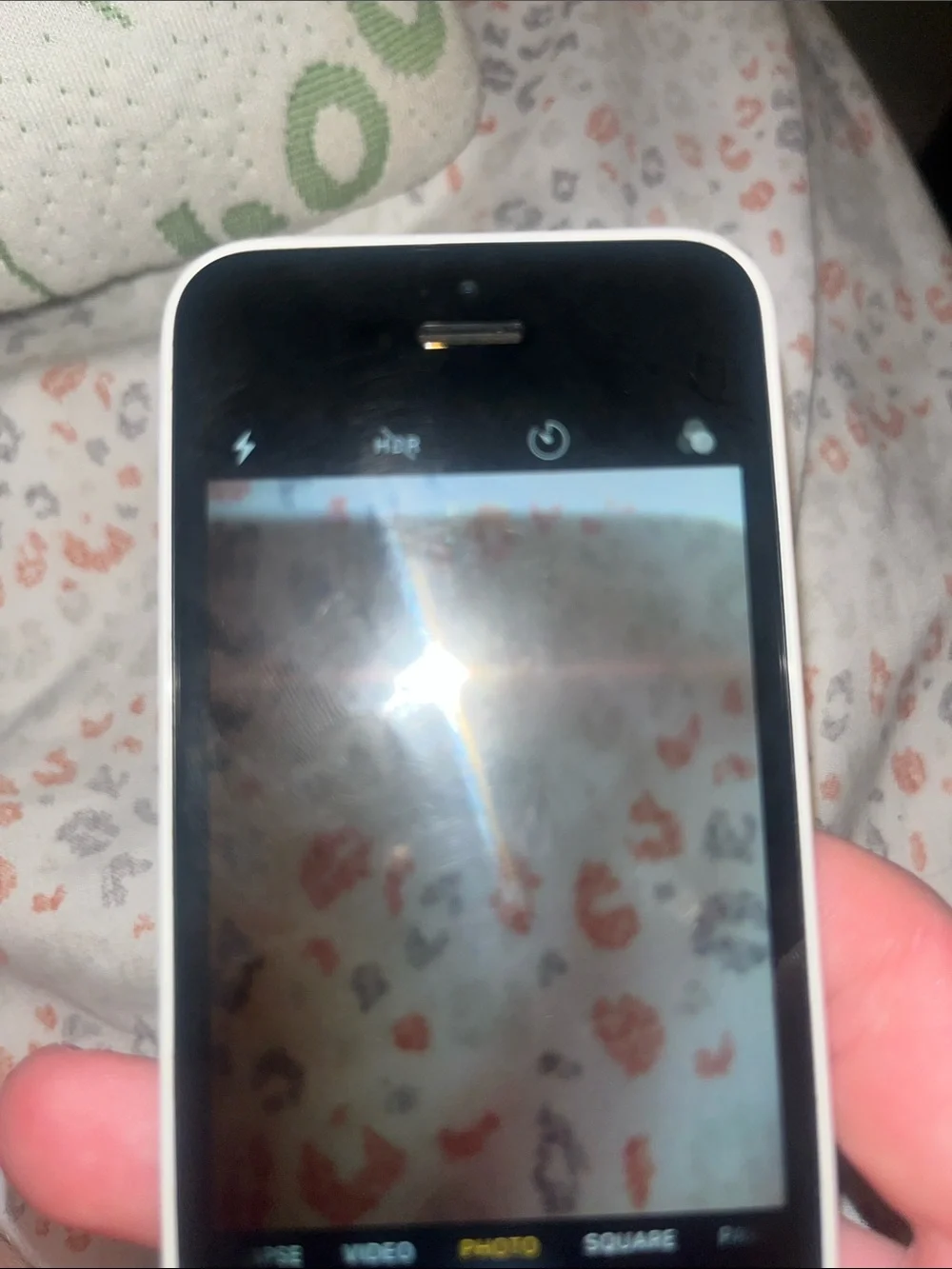 Apple iPhone 5c in Black with White Display